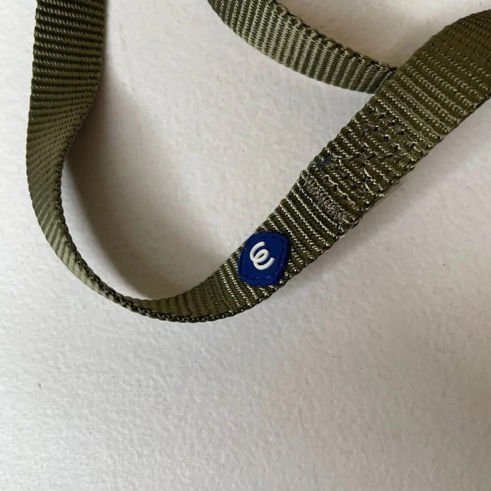 Blueberry Pet Essentials Small Dog Leash 5' x 5/8